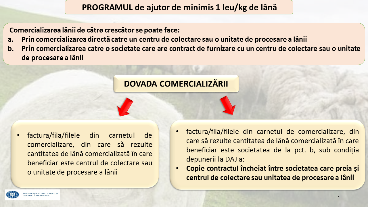 PROGRAM LÂNĂ - Copy